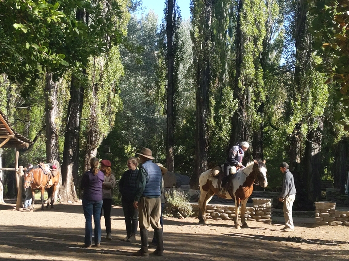 Activity at Ranquilco’s downtown with a backdrop of sausé trees