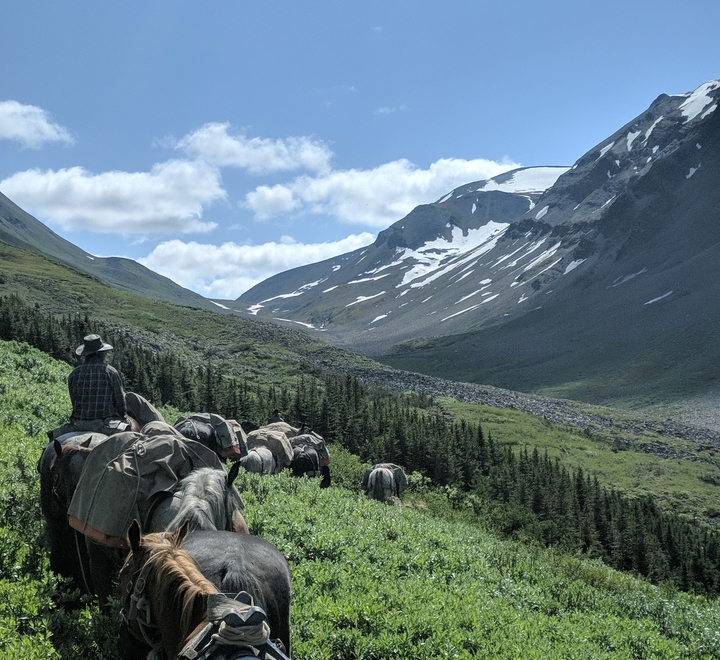 A sunny mountain pass