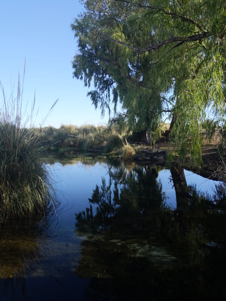 Beautiful pond at Rafael’s place