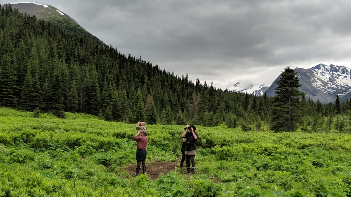 4 clients and their binoculars